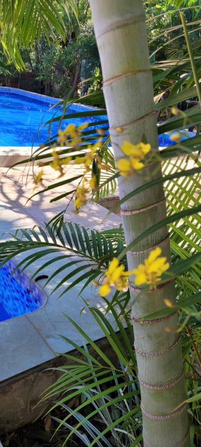 Rustico & Hotel Boutique Las Churapas San José de Chiquitos Εξωτερικό φωτογραφία